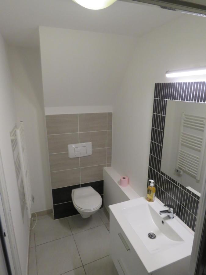Appartement Centre Historique Avec Terrasse Au Porte De La Camargue Сан-Жил Екстериор снимка